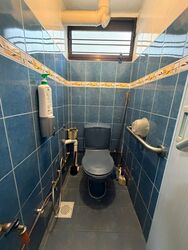 Blk 10 Haig View (Geylang), HDB 3 Rooms #545626631